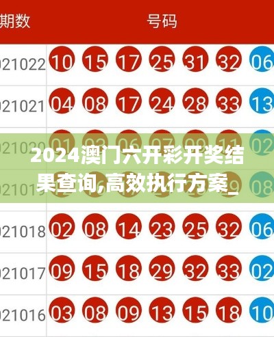 2024澳门六开彩开奖结果查询,高效执行方案_UDP15.17