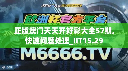 正版澳门天天开好彩大全57期,快速问题处理_IIT15.29