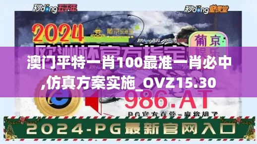 澳门平特一肖100最准一肖必中,仿真方案实施_OVZ15.30