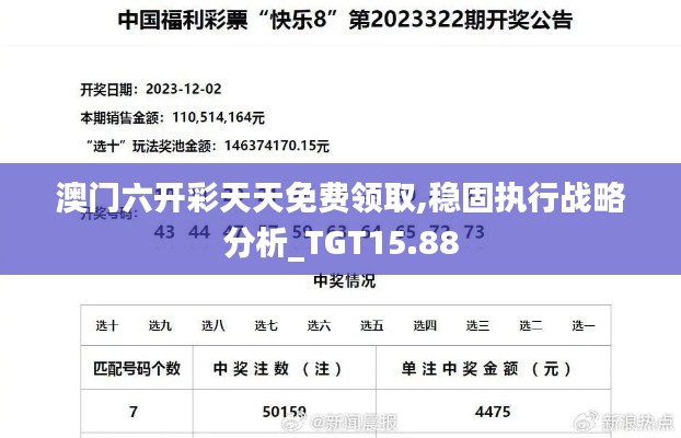 澳门六开彩天天免费领取,稳固执行战略分析_TGT15.88