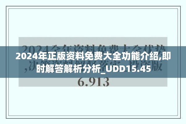 2024年正版资料免费大全功能介绍,即时解答解析分析_UDD15.45