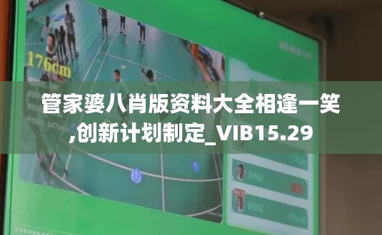 管家婆八肖版资料大全相逢一笑,创新计划制定_VIB15.29