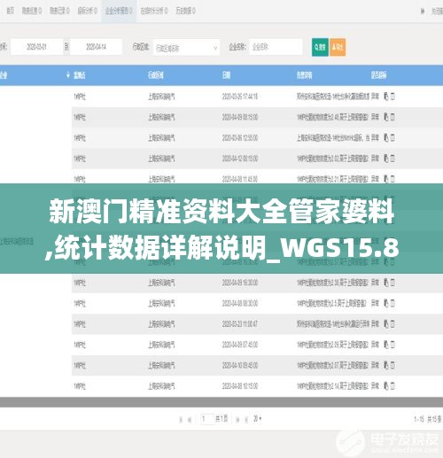 新澳门精准资料大全管家婆料,统计数据详解说明_WGS15.89