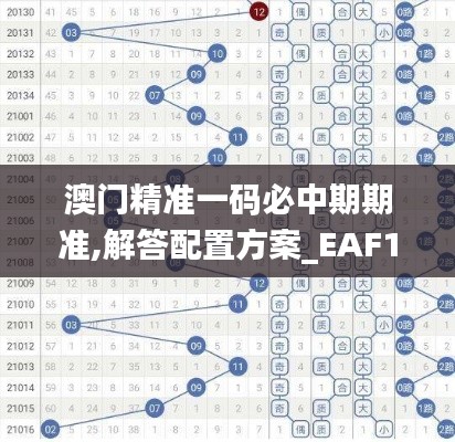 澳门精准一码必中期期准,解答配置方案_EAF15.31