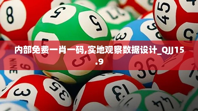 内部免费一肖一码,实地观察数据设计_QJJ15.9