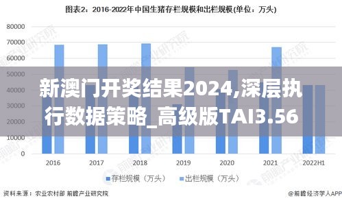 新澳门开奖结果2024,深层执行数据策略_高级版TAI3.56