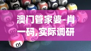 澳门管家婆-肖一码,实际调研解析_PJE15.40