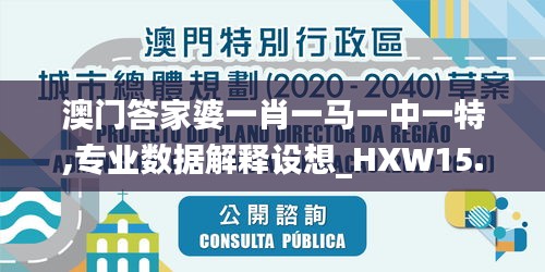 澳门答家婆一肖一马一中一特,专业数据解释设想_HXW15.19