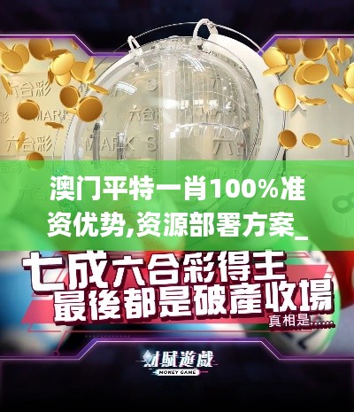 澳门平特一肖100%准资优势,资源部署方案_XMW15.72