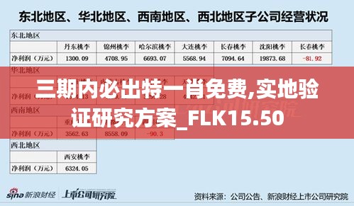 三期内必出特一肖免费,实地验证研究方案_FLK15.50