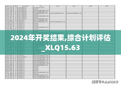 2024年开奖结果,综合计划评估_XLQ15.63