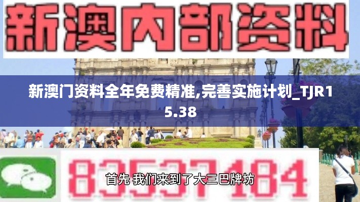 新澳门资料全年免费精准,完善实施计划_TJR15.38