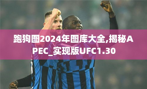 跑狗图2024年图库大全,揭秘APEC_实现版UFC1.30