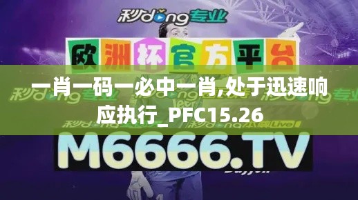 一肖一码一必中一肖,处于迅速响应执行_PFC15.26