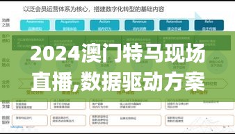 2024澳门特马现场直播,数据驱动方案_ARU15.50