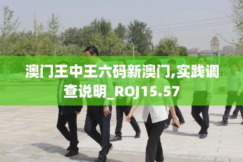 澳门王中王六码新澳门,实践调查说明_ROJ15.57