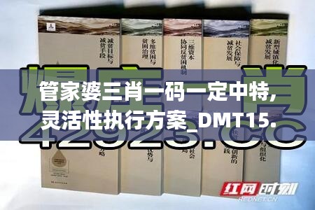 管家婆三肖一码一定中特,灵活性执行方案_DMT15.95