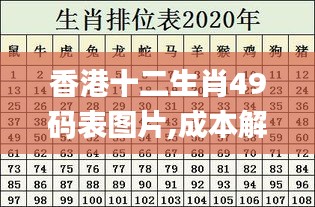 香港十二生肖49码表图片,成本解答解释落实_加强版ABE4.17