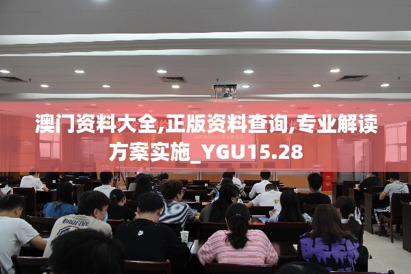 澳门资料大全,正版资料查询,专业解读方案实施_YGU15.28