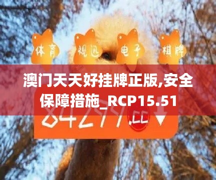 澳门天天好挂牌正版,安全保障措施_RCP15.51