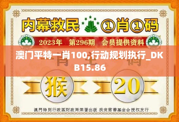 澳门平特一肖100,行动规划执行_DKB15.86