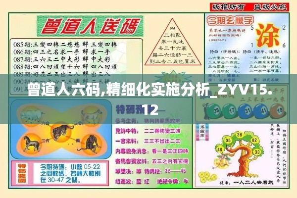 曾道人六码,精细化实施分析_ZYV15.12