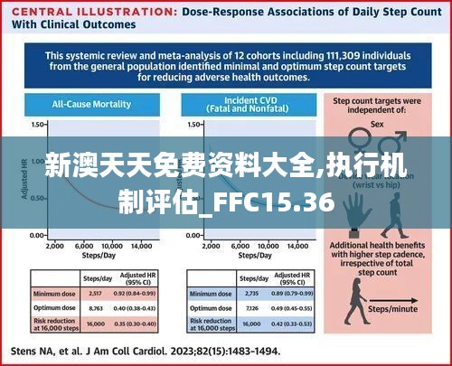 新澳天天免费资料大全,执行机制评估_FFC15.36