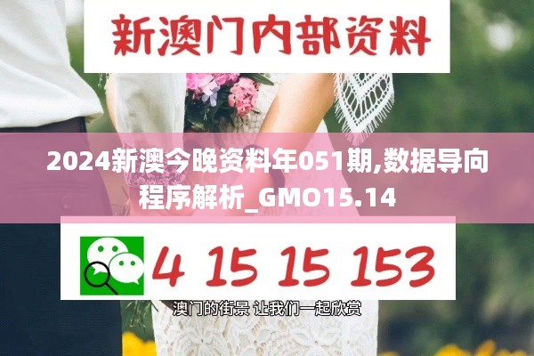 2024新澳今晚资料年051期,数据导向程序解析_GMO15.14