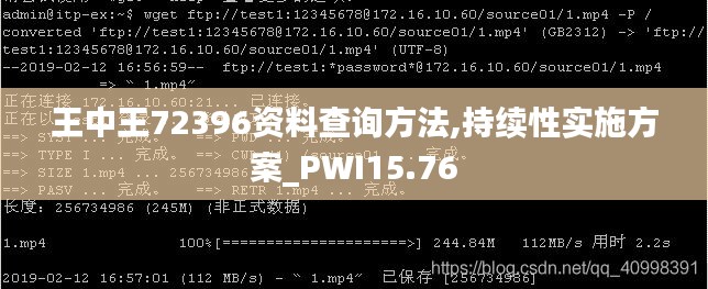 王中王72396资料查询方法,持续性实施方案_PWI15.76