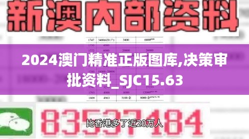 2024澳门精准正版图库,决策审批资料_SJC15.63