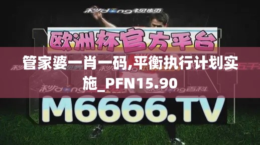 管家婆一肖一码,平衡执行计划实施_PFN15.90