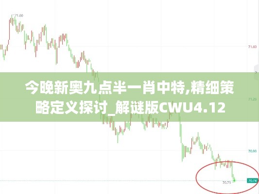 今晚新奥九点半一肖中特,精细策略定义探讨_解谜版CWU4.12