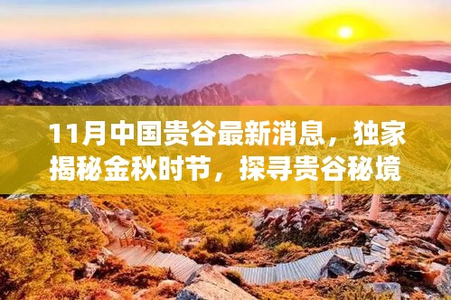 金秋独家揭秘，探寻中国贵谷秘境，心灵之旅启程于金秋时节