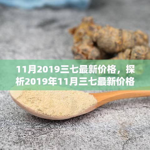 揭秘2019年11月三七最新价格背后的市场动态与个人立场洞察