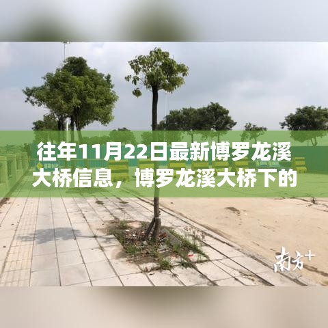 博罗龙溪大桥下的励志故事，变化中的桥梁与自信成就之路