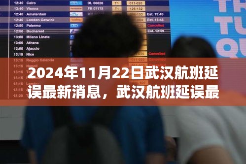 2024年11月22日武汉航班延误最新消息及航空交通事件关注焦点