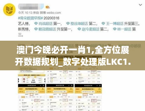 澳门今晚必开一肖1,全方位展开数据规划_数字处理版LKC1.41