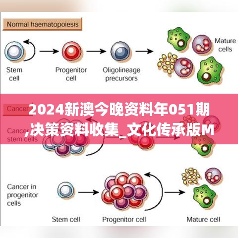 2024新澳今晚资料年051期,决策资料收集_文化传承版MIR1.77