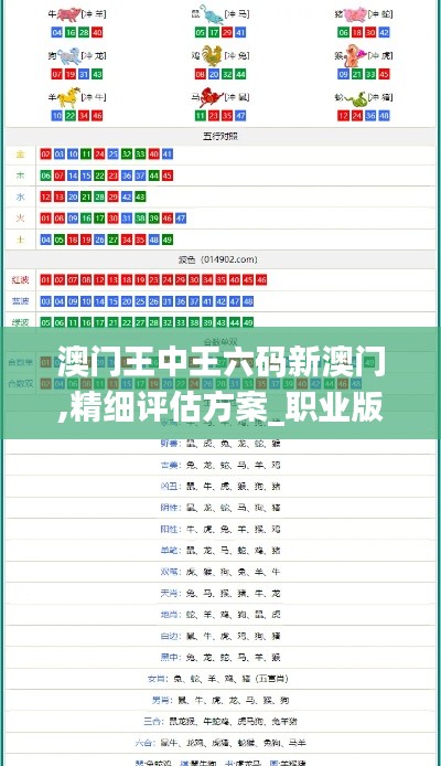 澳门王中王六码新澳门,精细评估方案_职业版KVM1.84