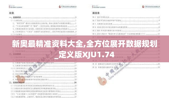 新奥最精准资料大全,全方位展开数据规划_定义版XJU1.74