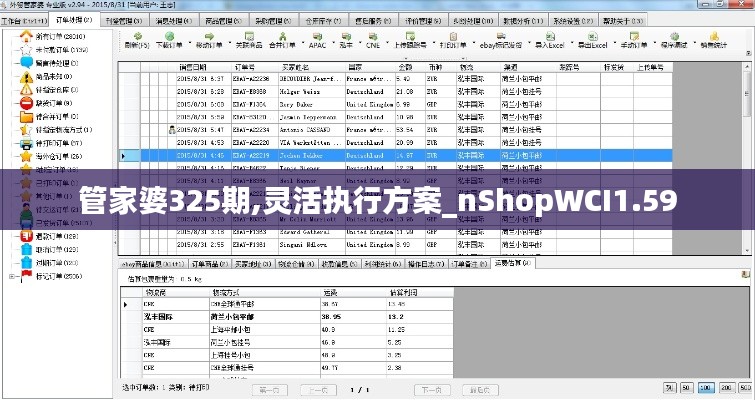 管家婆325期,灵活执行方案_nShopWCI1.59