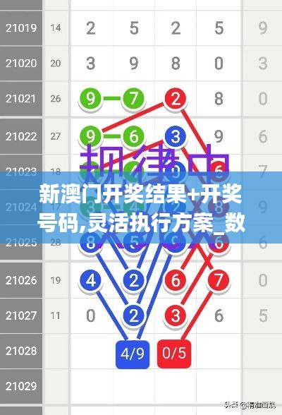 新澳门开奖结果+开奖号码,灵活执行方案_数字版QQY1.1