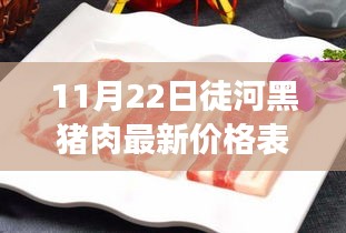 徒河黑猪肉最新价格表揭秘，品质、体验与市场对比评测（11月22日）