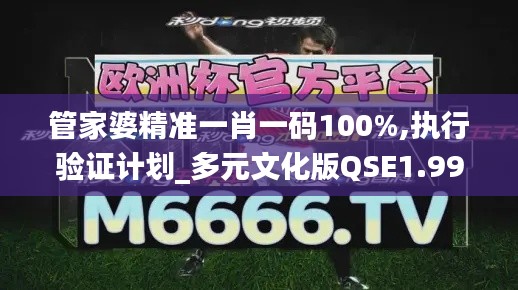 管家婆精准一肖一码100%,执行验证计划_多元文化版QSE1.99