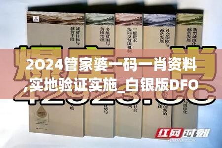 2O24管家婆一码一肖资料,实地验证实施_白银版DFO1.76