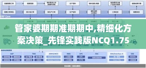 管家婆期期准期期中,精细化方案决策_先锋实践版NCQ1.75