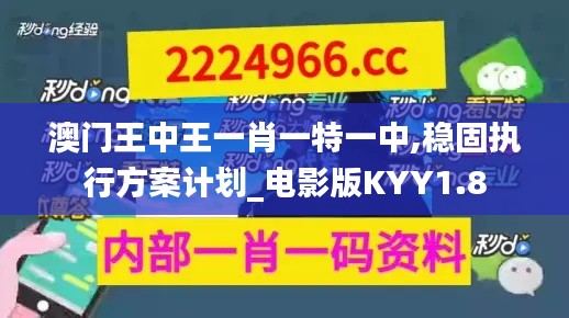 澳门王中王一肖一特一中,稳固执行方案计划_电影版KYY1.8