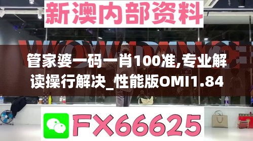 管家婆一码一肖100准,专业解读操行解决_性能版OMI1.84