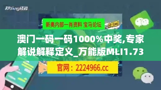 澳门一码一码1000%中奖,专家解说解释定义_万能版MLI1.73