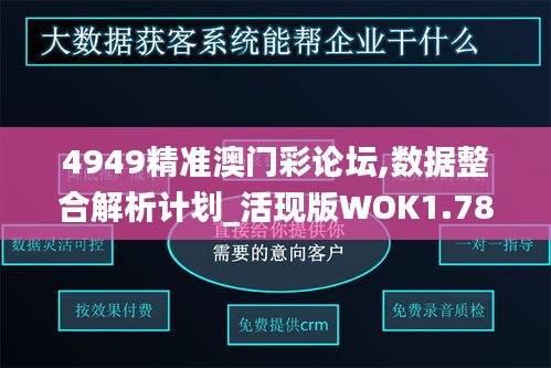 4949精准澳门彩论坛,数据整合解析计划_活现版WOK1.78